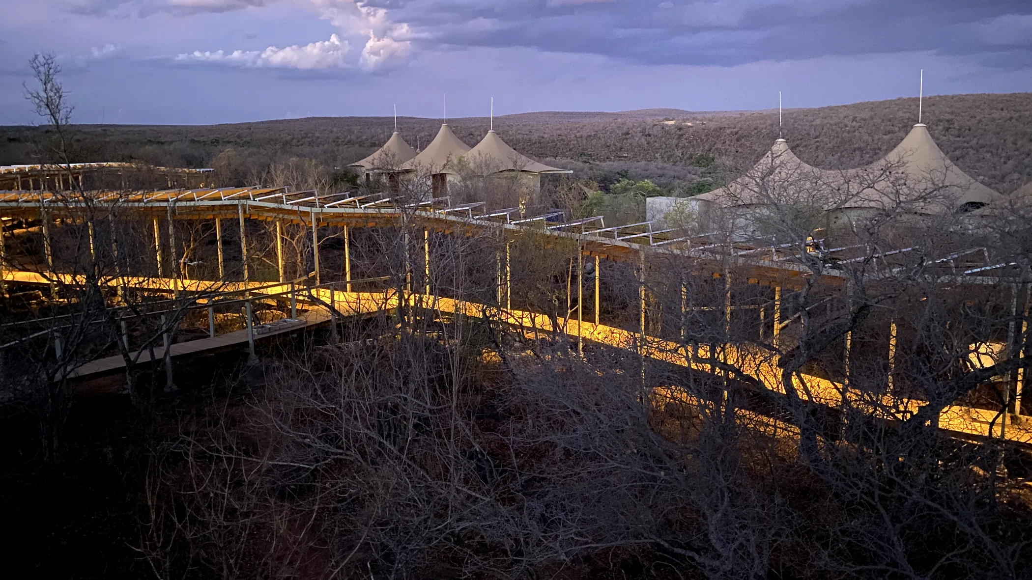 South Africa's first solar walkway lighting the path between Noka Camp villas at dusk